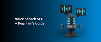 I will do google voice search SEO for website